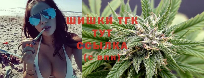 Конопля OG Kush  Санкт-Петербург 